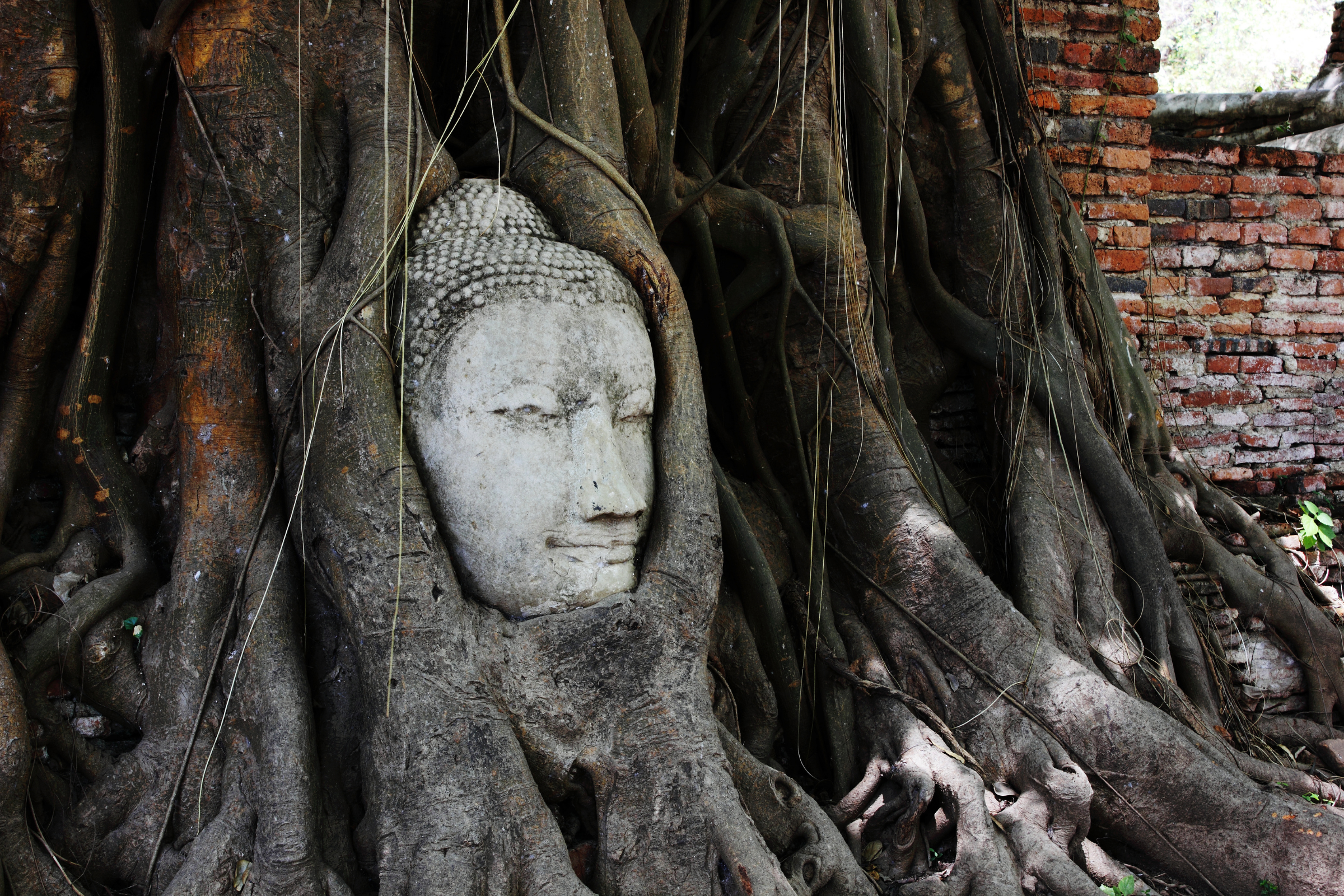 phra nakhon si ayutthaya (2).webp